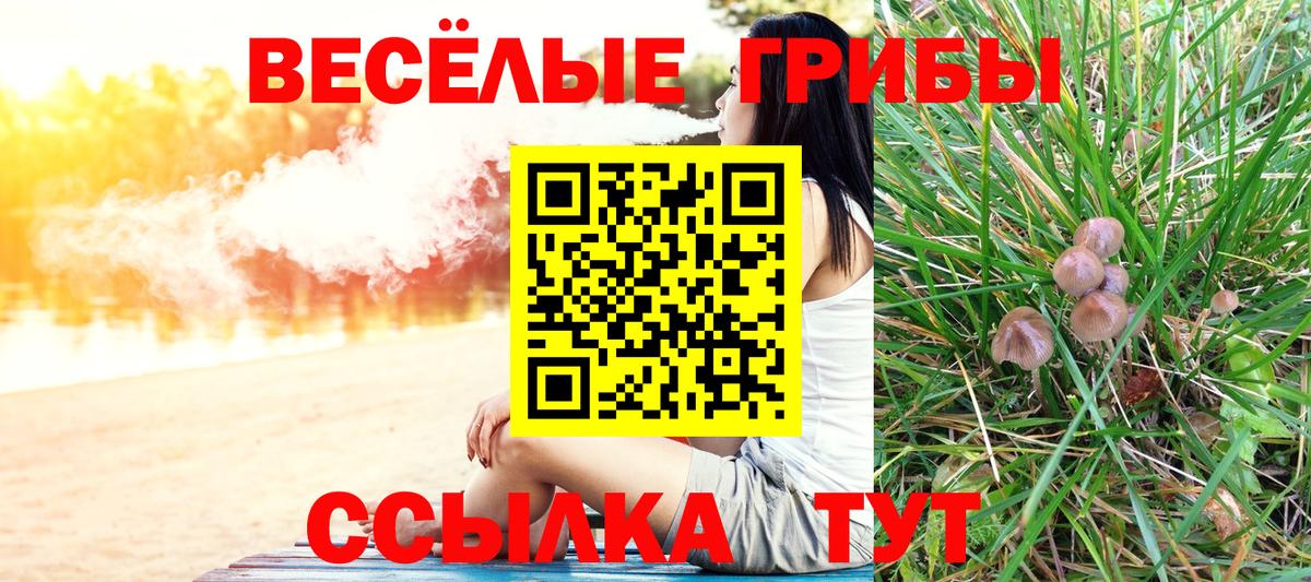 Можга  Псилоцибиновые грибы мицелий  Вход с VPN 