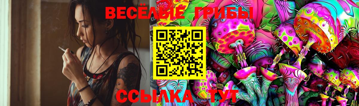 Галлюциногенные грибы GOLDEN TEACHER Можга